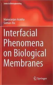 Interfacial Phenomena on Biological Membranes
