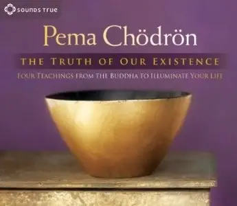 The Truth of Our Existence: Four Teachings from the Buddha to Illuminate Your Life [Audiobook]