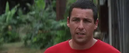50 First Dates (2004)