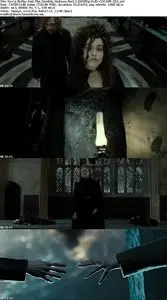 Harry Potter and the Deathly Hallows: Part 2 (2011)