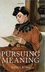 Pursuing Meaning