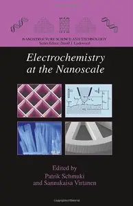 Electrochemistry at the Nanoscale (Nanostructure Science and Technology) by Patrik Schmuki