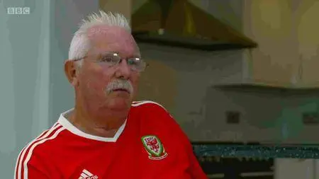 BBC - Wales: The Road to the Euro Semi Finals (2016)