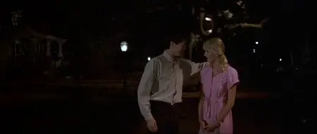 Blue Velvet (1986)