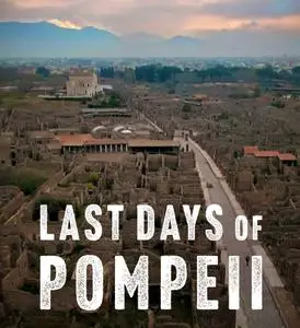 PBS - Secrets of the Dead: Last Days Of Pompeii (2022)
