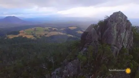 Smithsonian Channel - Tasmania: Curious Life of Quolls (2020)