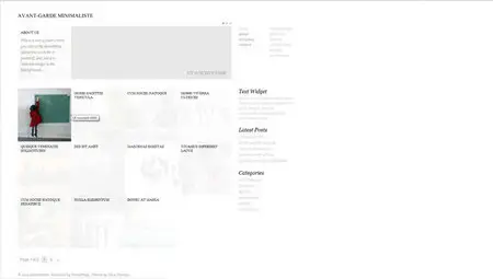 Vivathemes Minimaliste Wordpress Template