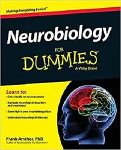Neurobiology For Dummies (For Dummies Series)