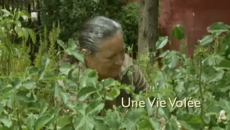 (Fr5) Une vie volée (2012)