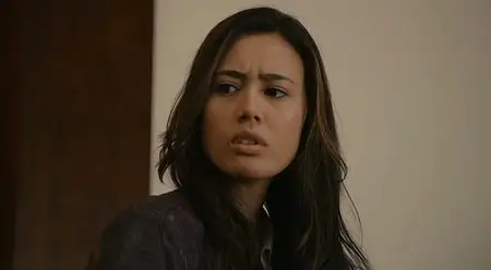 A Dangerous Man (2009)