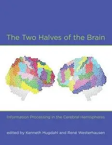 The Two Halves of the Brain: Information Processing in the Cerebral Hemispheres