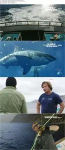 Shark Week - Island of the Mega Shark (2015)