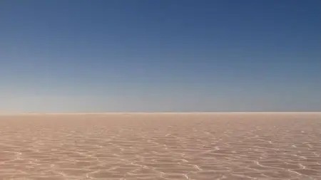 Screen Australia - Salt