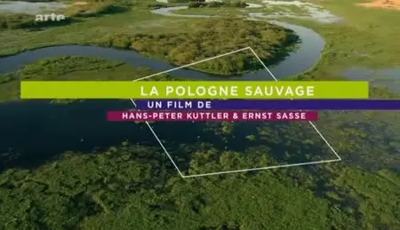 (Arte) La Pologne sauvage (2012)