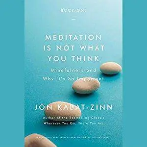 Meditation Is Not What You Think: Mindfulness and Why It Is So Important [Audiobook]
