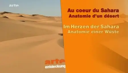 (Arte) Au cœur du Sahara : Anatomie d'un désert (2011)
