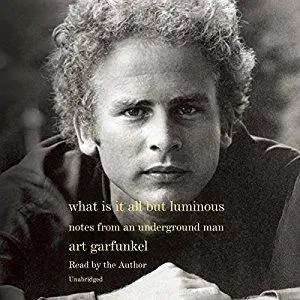 What Is It All but Luminous: Notes from an Underground Man [Audiobook]