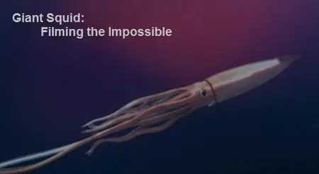 BBC - Giant Squid: Filming the Impossible (2013)