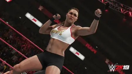 WWE 2K19 (2018) Update 1.03