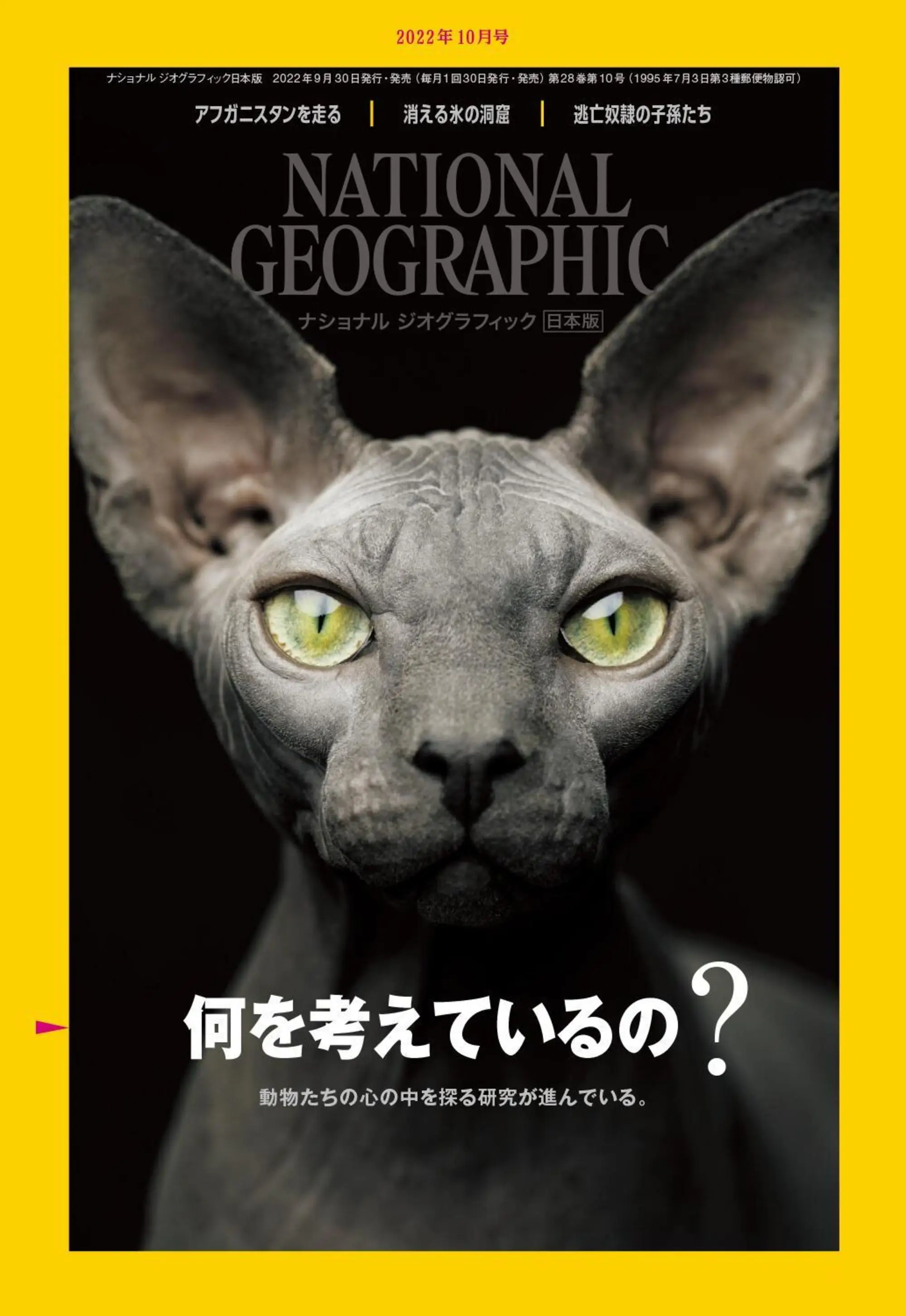 [日本版]国家地理杂志 National Geographic ナショナル ジオグラフィック  2022年10月