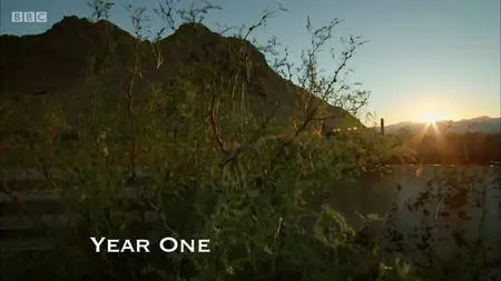 BBC Natural World - Empire of the Desert Ants (2011)