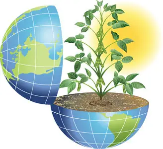 Illustration "Green Peace"
