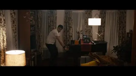 The Skeleton Twins / Близнецы (2014)
