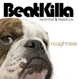 Kevin Yost & Peter Funk - Roughness (2009)