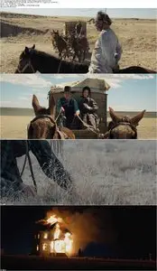 The Homesman (2014)