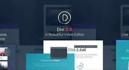 ElegantThemes - Divi v3.0.65 - WordPress Theme