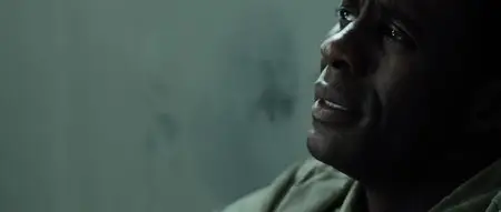 Mandela: Long Walk to Freedom (2013)
