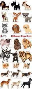 Vectors - Different Dogs Set 5