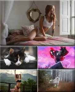 Computer Desktop Wallpapers Collection. Part (2060)