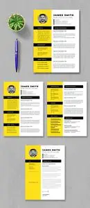 Resume Template Design 738487535