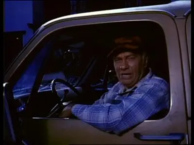 Beneath the Valley of the Ultra-Vixens (1979)
