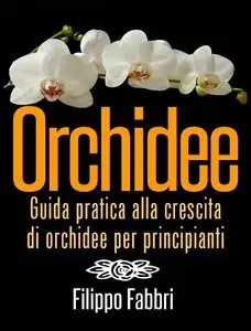 Filippo Fabbri - Orchidee. Guida pratica alla crescita di orchidee per principianti