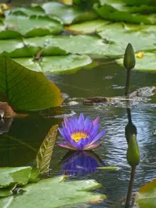 World In Photo 248