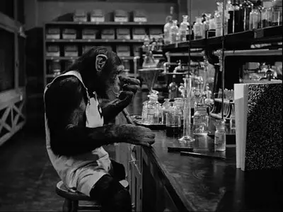 Monkey Business (1952) DVD9