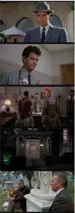 Dragnet (1987)