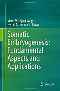 Somatic Embryogenesis