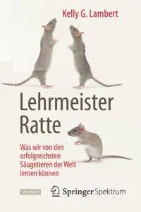 Lehrmeister Ratte: Was wir von den erfolgreichsten Säugetieren der Welt lernen können (Repost)