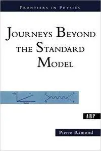 Journeys Beyond The Standard Model