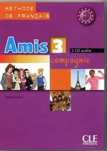 Amis et compagnie. Niveau 3. (3 CD audio)