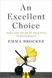 An Excellent Choice: Panic and Joy on My Solo Path to Motherhood