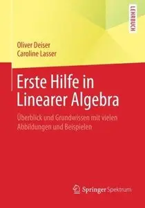 Erste Hilfe in Linearer Algebra: Überblick und Grundwissen mit vielen Abbildungen und Beispielen (Repost)