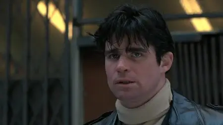 Prince of the City (1981)