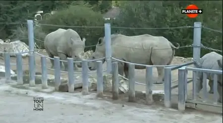 (Planète) Le zoo de Beauval, tout un monde (2014)