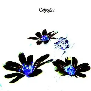 Spisfire. 7 Albums (2009-2010)