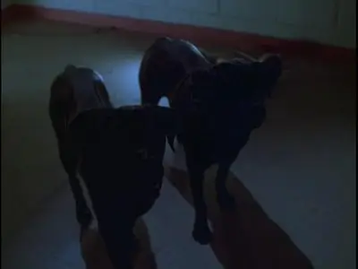 Bram Stoker's Shadowbuilder (1998)