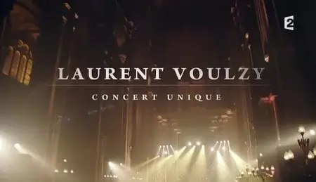 (Fr2) Concert unique - Laurent Voulzy (2013)